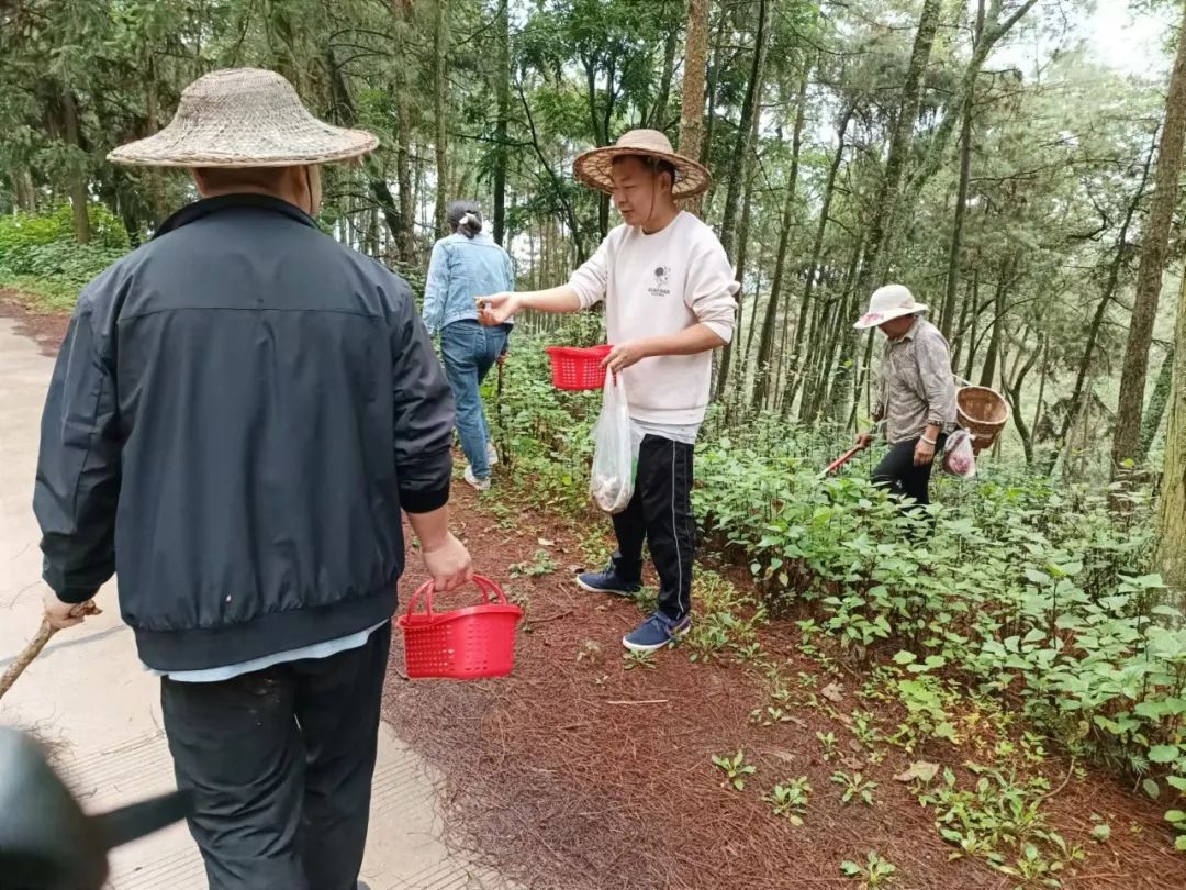 保山新闻网