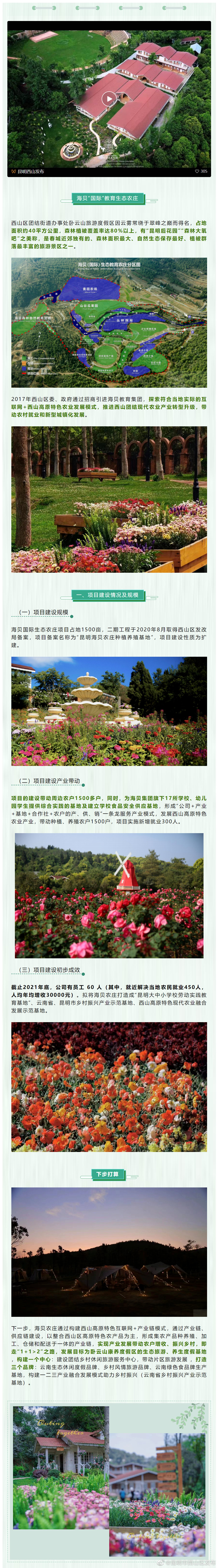 昆明市西山区发布