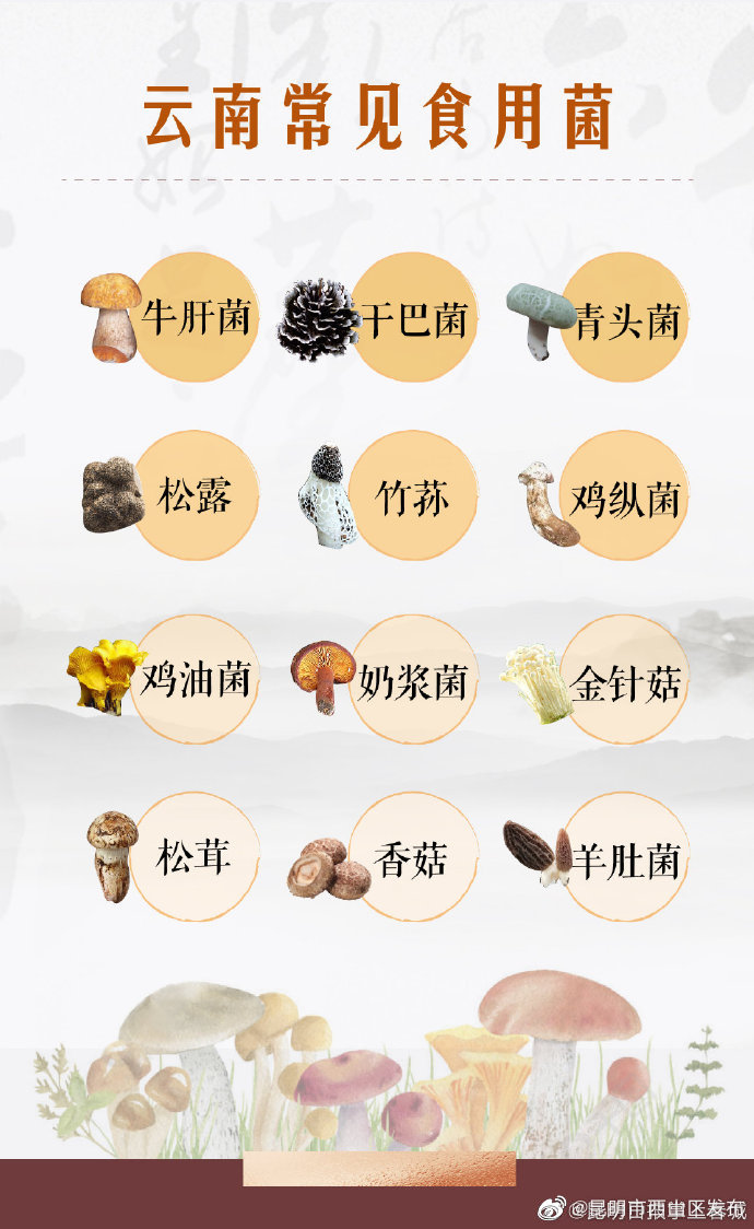 昆明市西山区发布