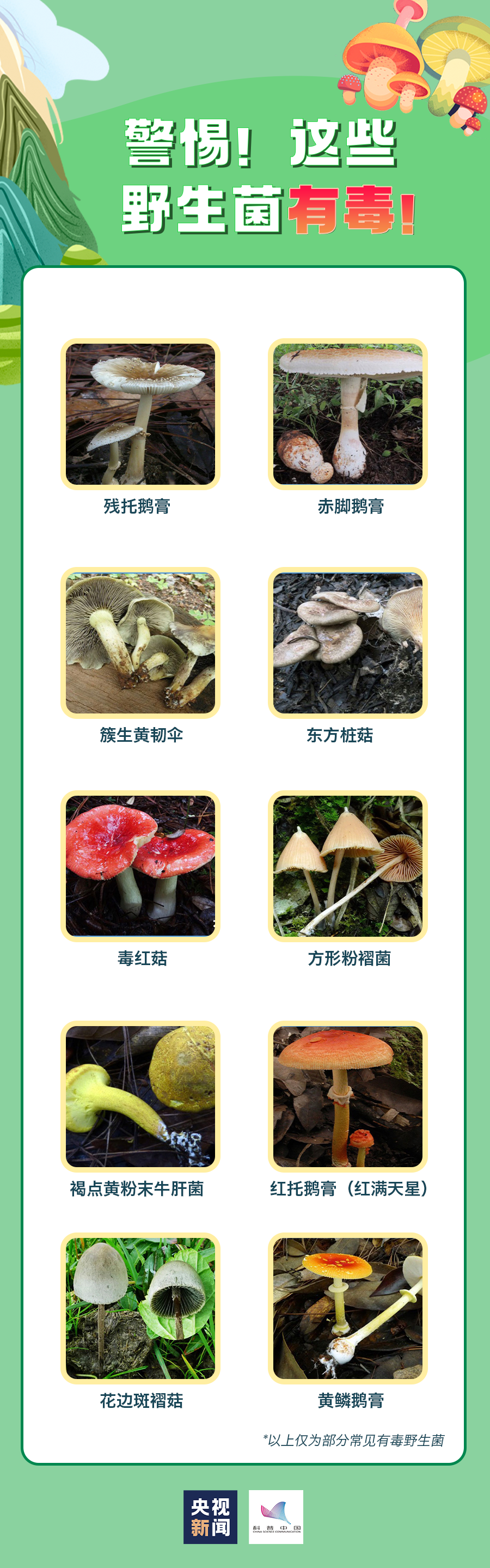 宜良之窗