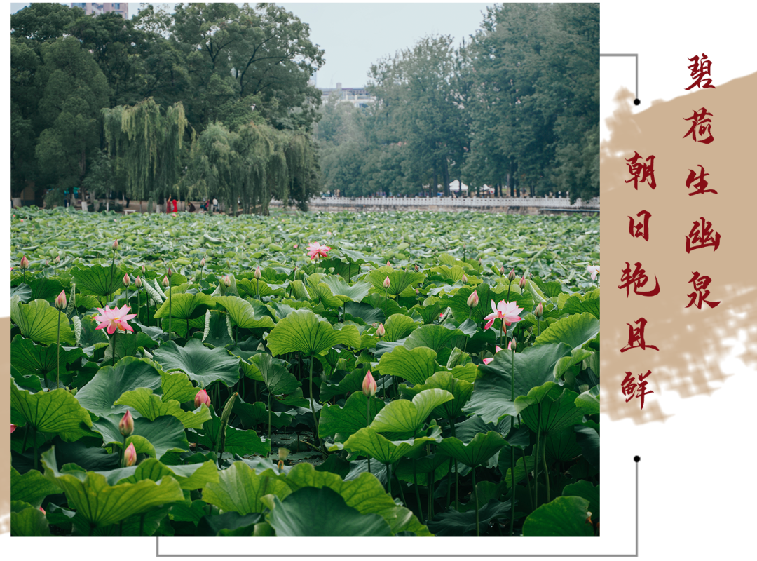 昆明生态环境