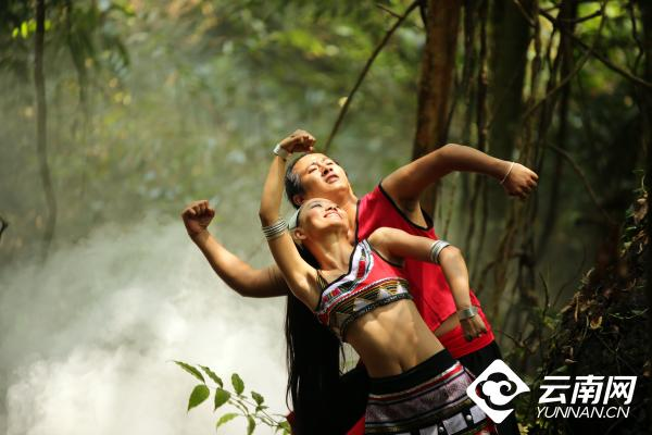 云南省文化和旅游厅