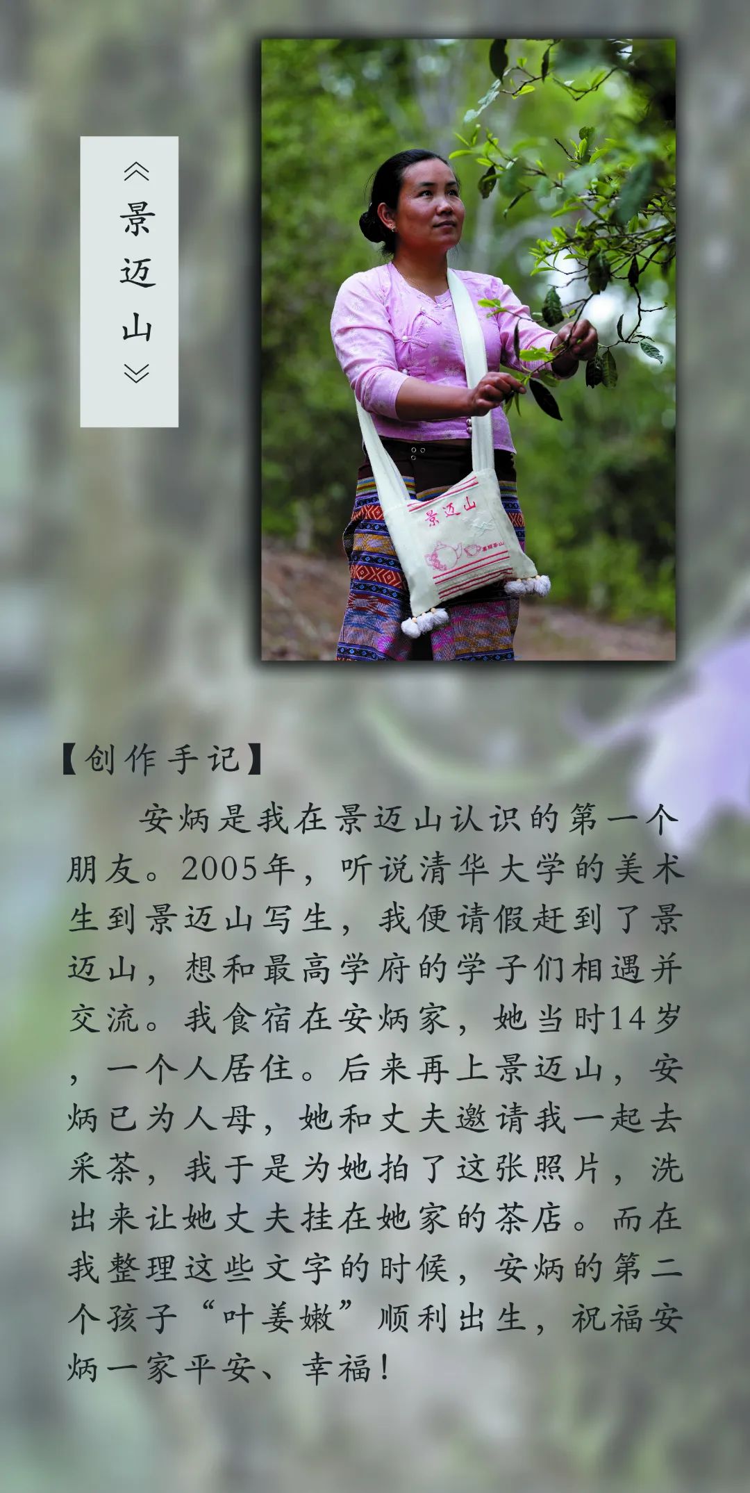 普洱日报
