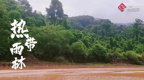 云南省文化和旅游厅