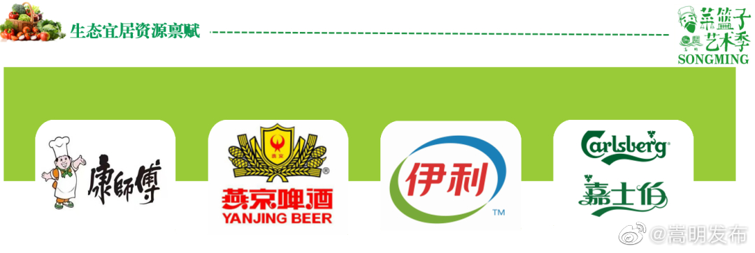 嵩明发布