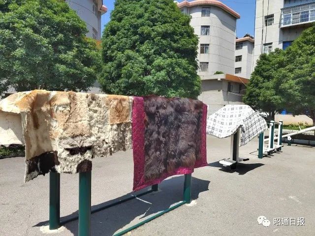 昭通日报