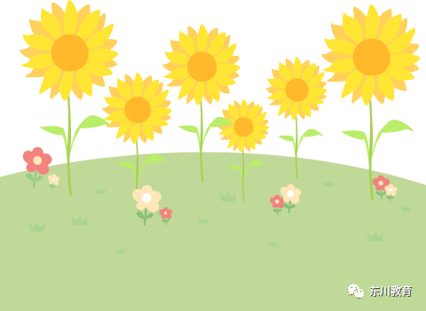 东川教育(微信)