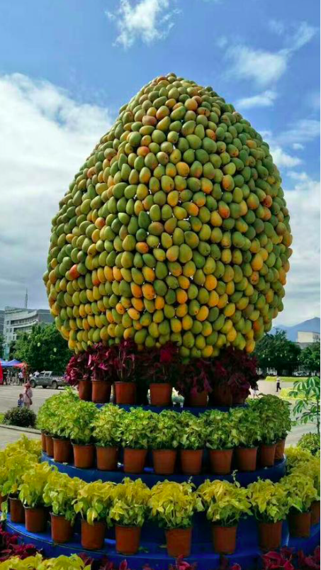 云南省文化和旅游厅