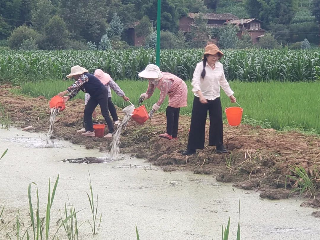 爱上富民