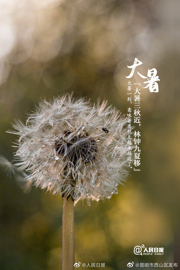 昆明市西山区发布