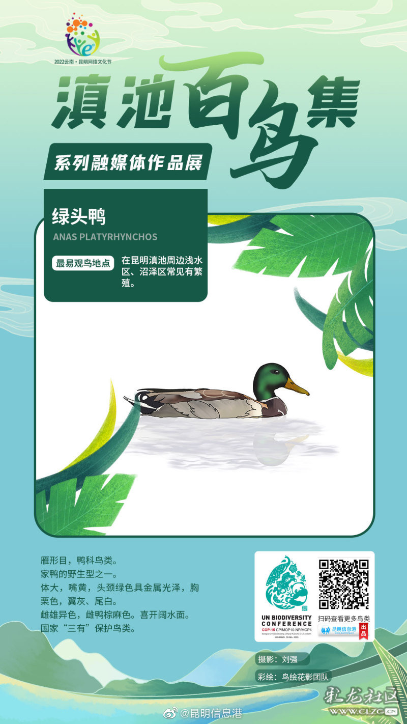 昆明信息港