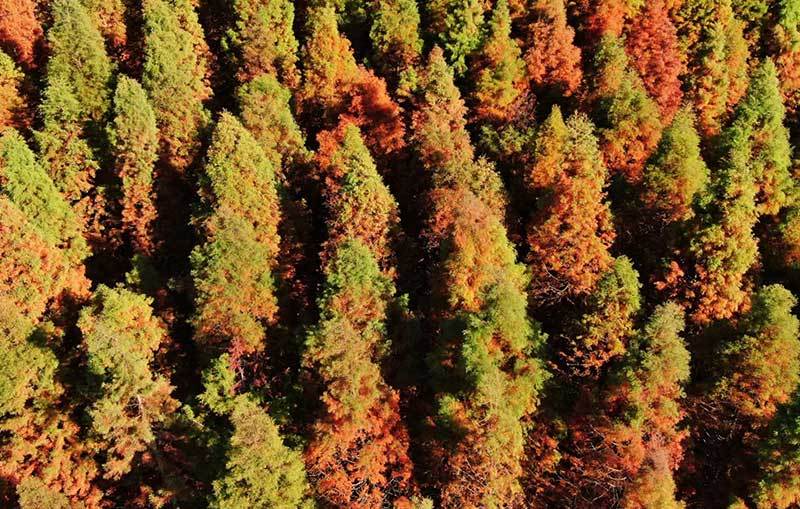 云南省文化和旅游厅