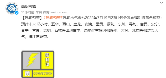 云南信息报