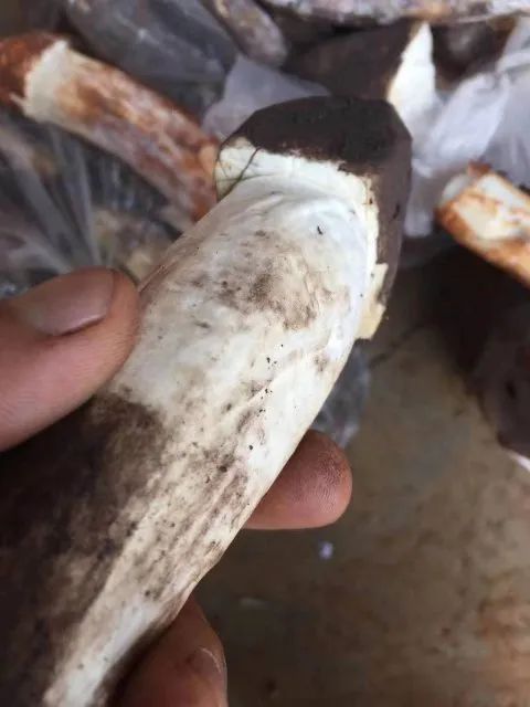 昆明信息港/cnkmxxg