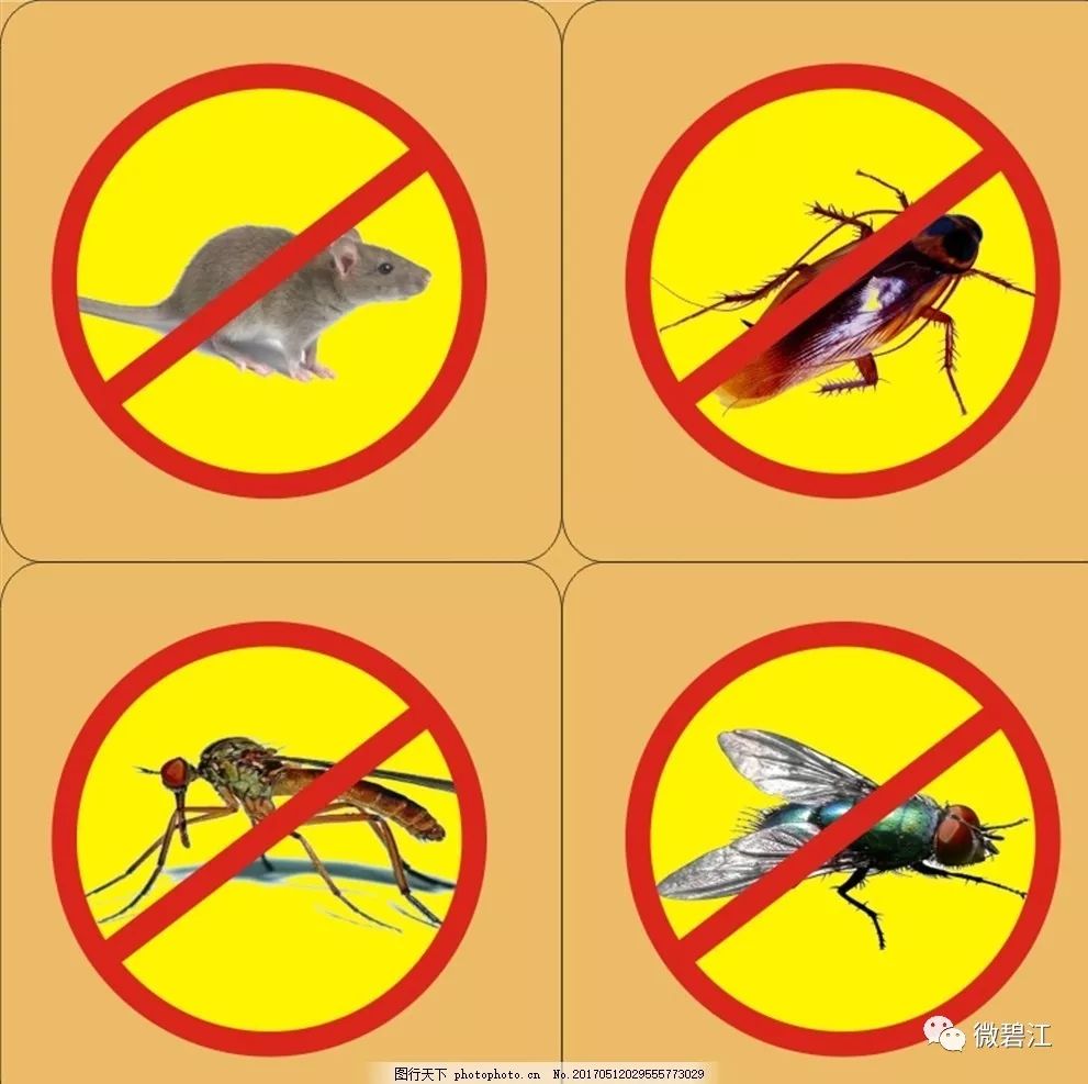 昆明市昙华寺公园