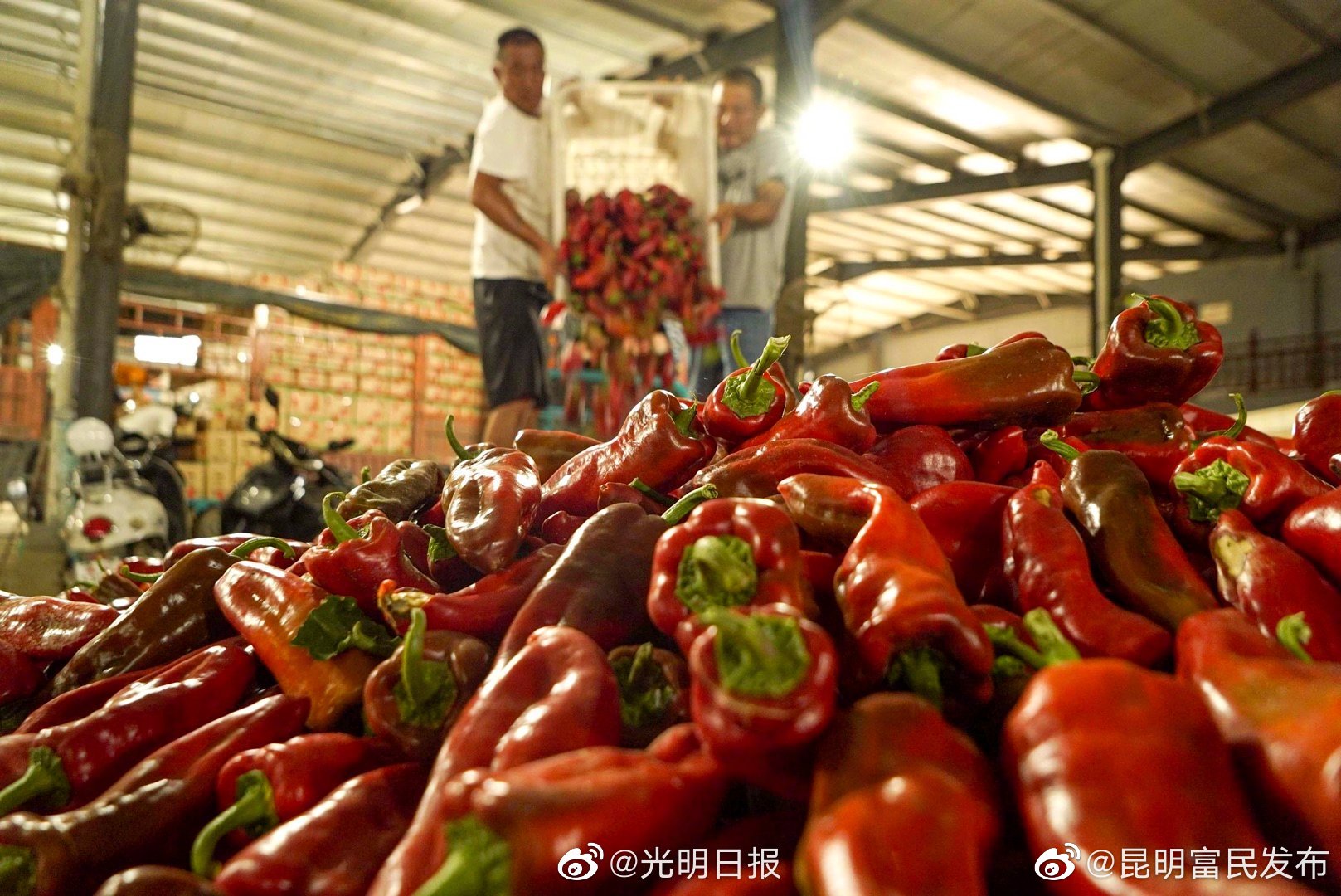 “昆明富民发布”微博