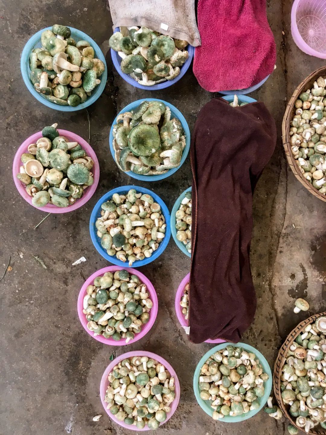 一部手机游云南