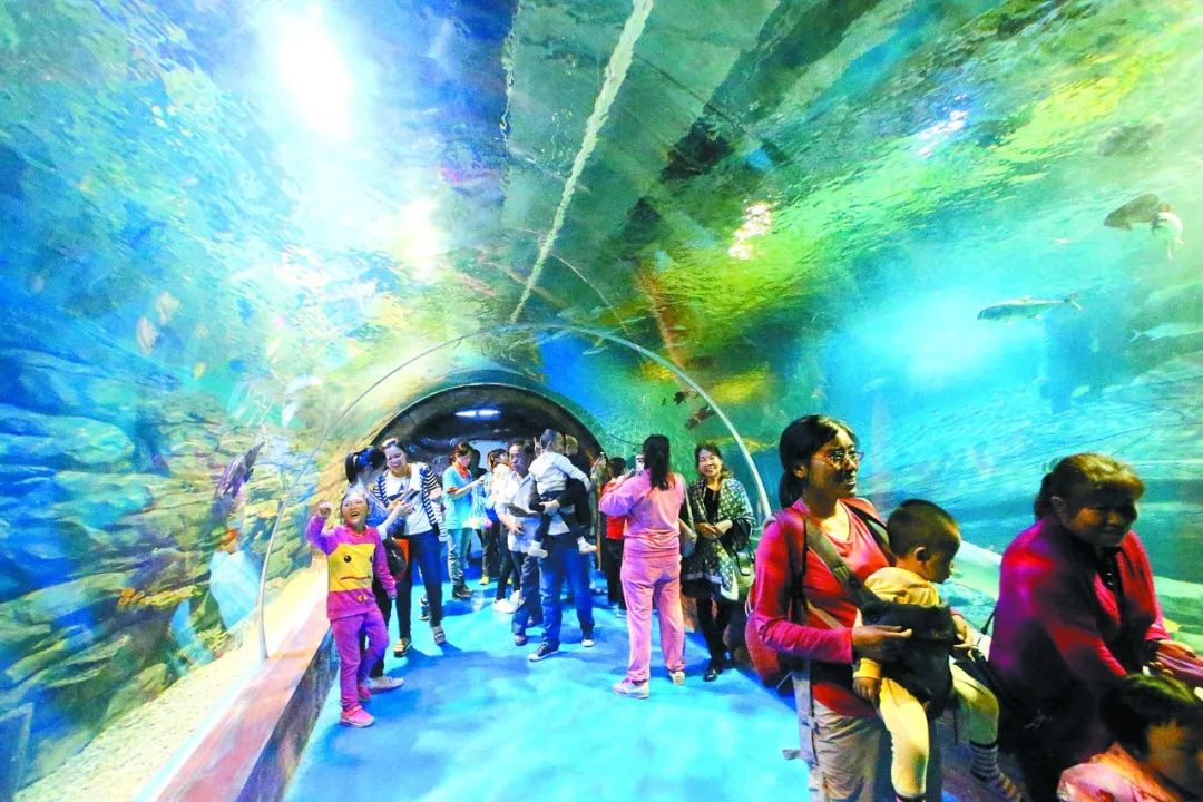 昆明市旅游监察支队