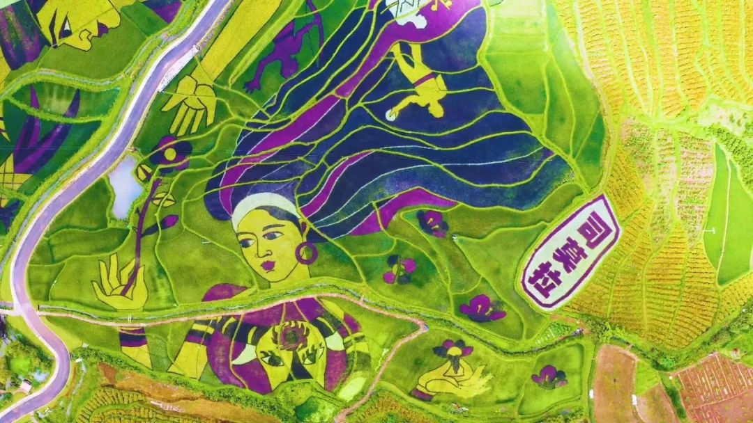保山新闻网