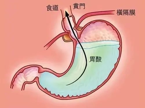 云南省中医医院
