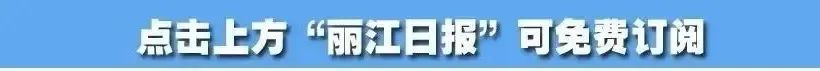 丽江日报