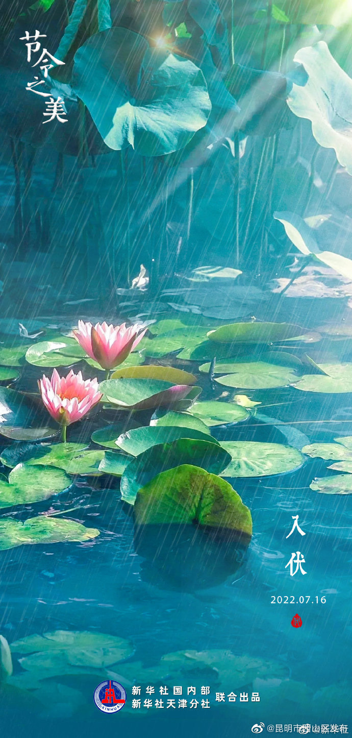 昆明市西山区发布