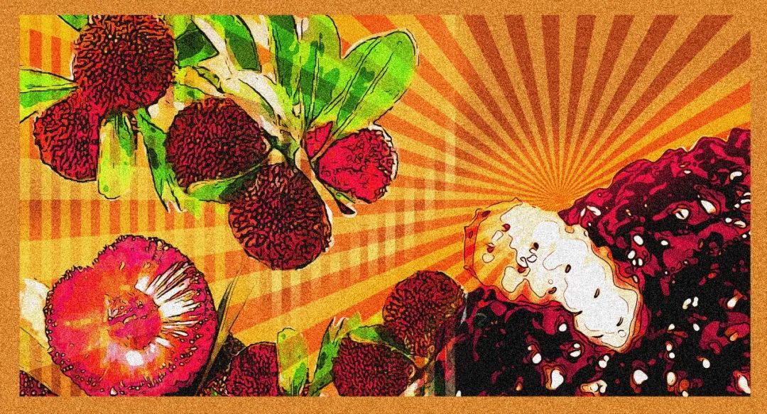 美丽云南微科普