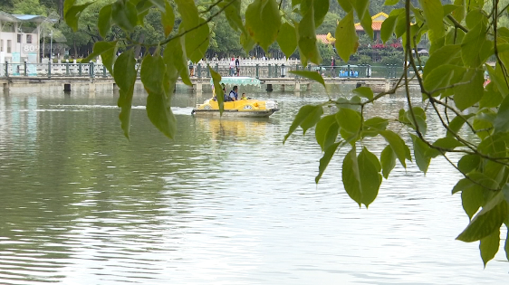 昆明信息港/cnkmxxg