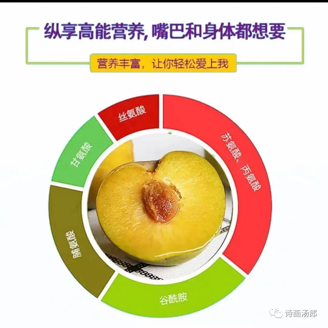 魅力禄劝