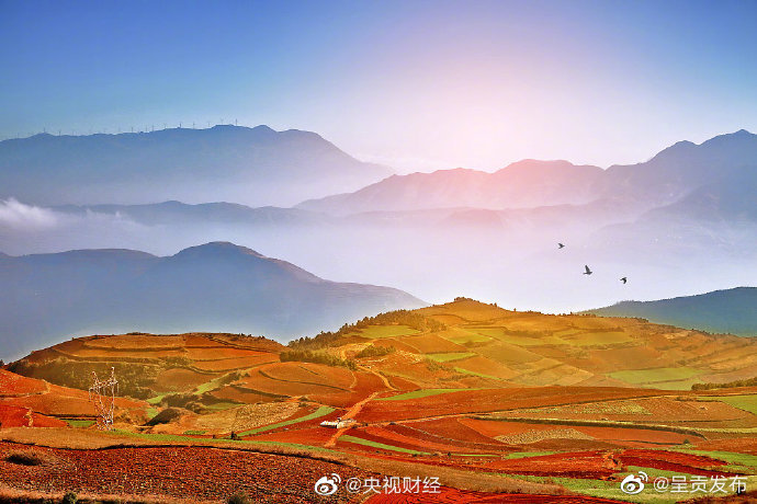 云南省气象台2022年7月8日10时00分发布高温黄色预警