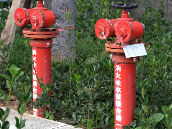 大理电视台
