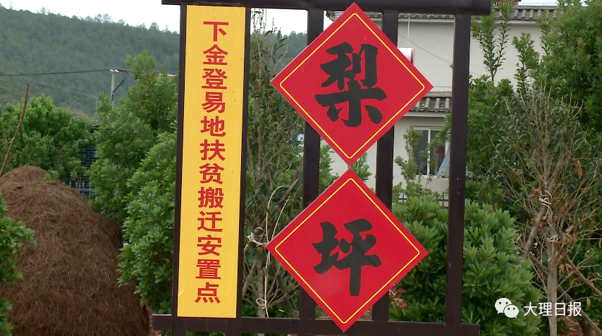大理日报