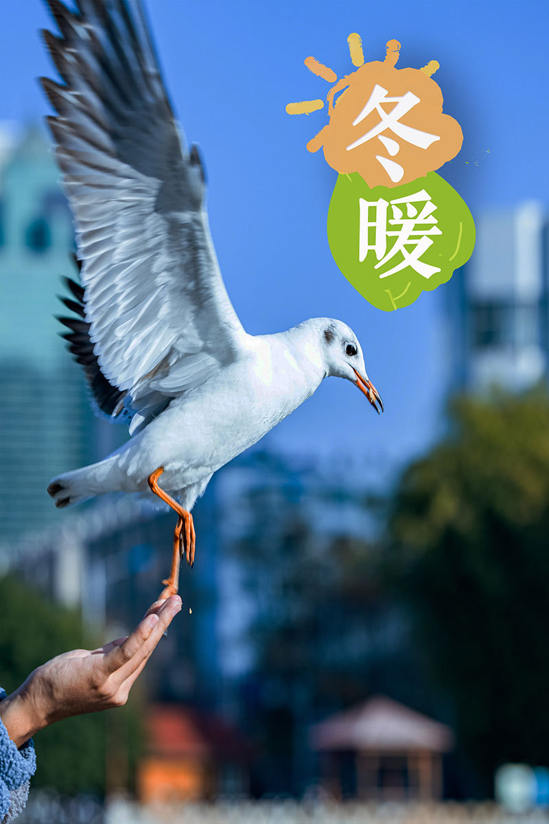 云南省文化和旅游厅