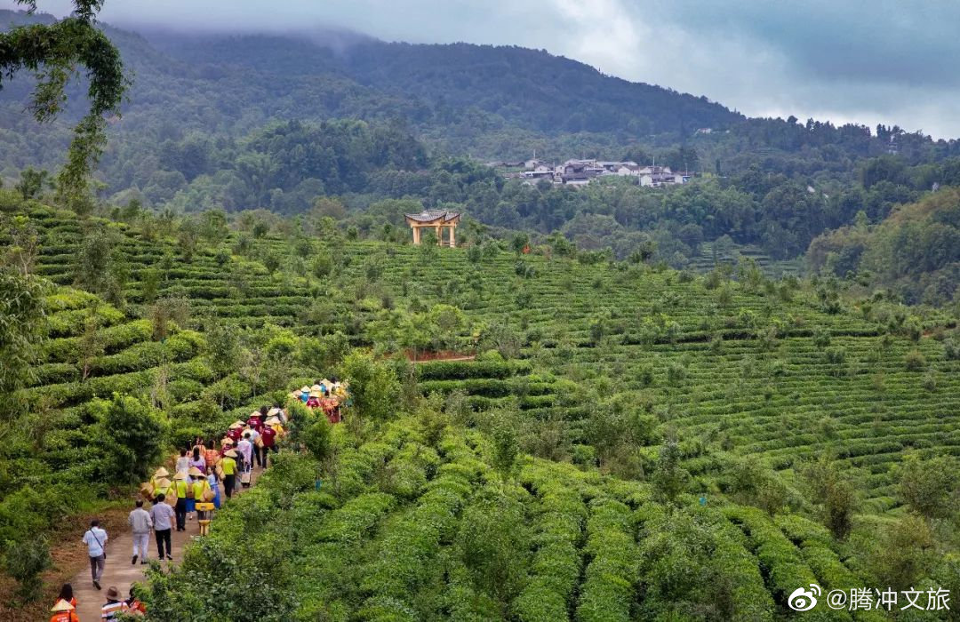 腾冲文旅微博