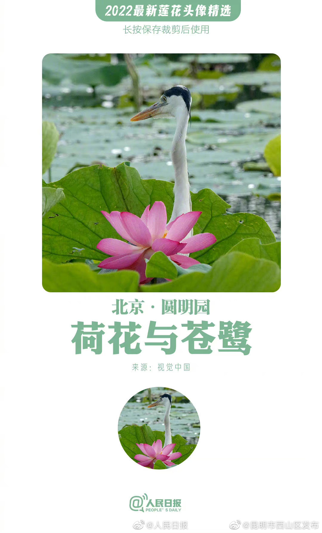 昆明市西山区发布