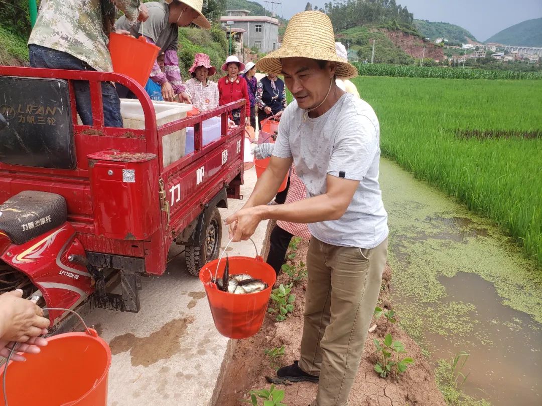 爱上富民