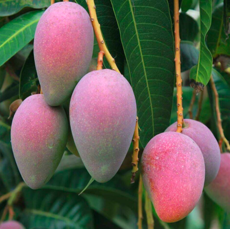 云南省文化和旅游厅