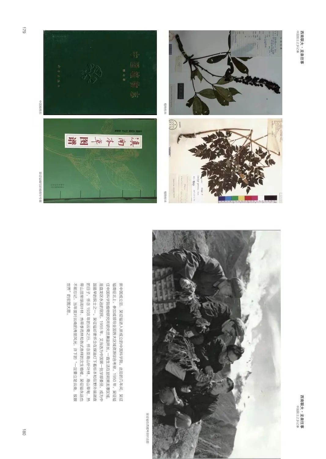 微观盘龙