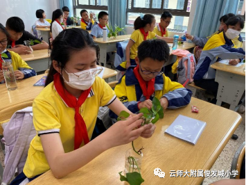 盘龙教育(微信)