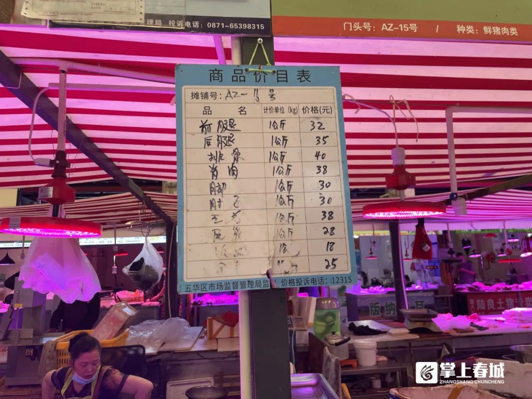 掌上春城