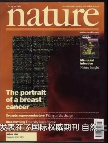 昆明信息港/cnkmxxg