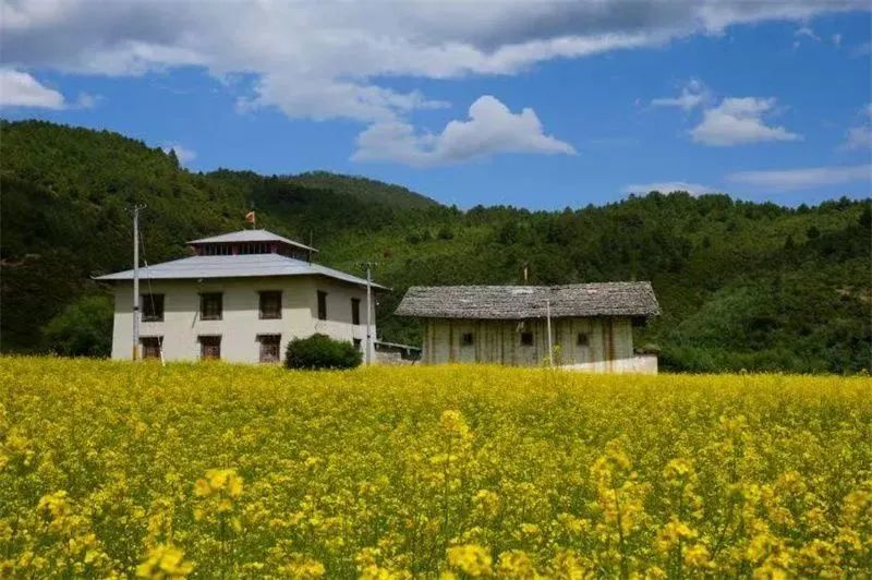 悦读嵩明