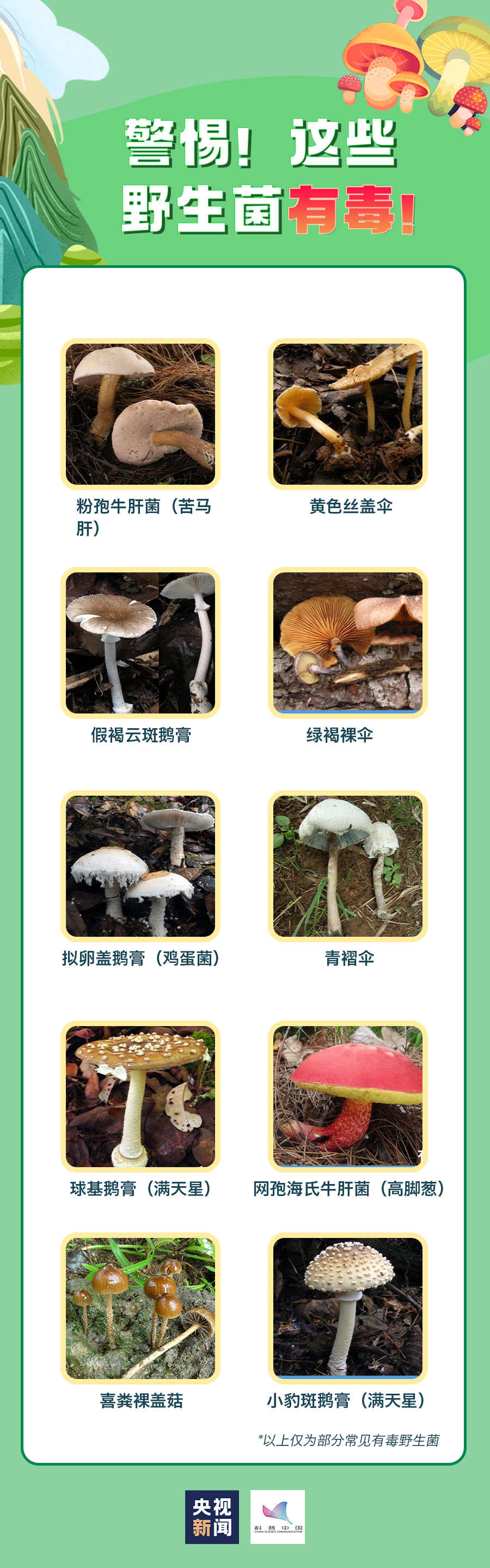 宜良之窗