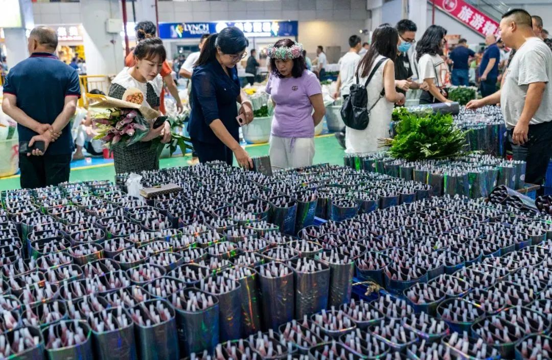昆明发布