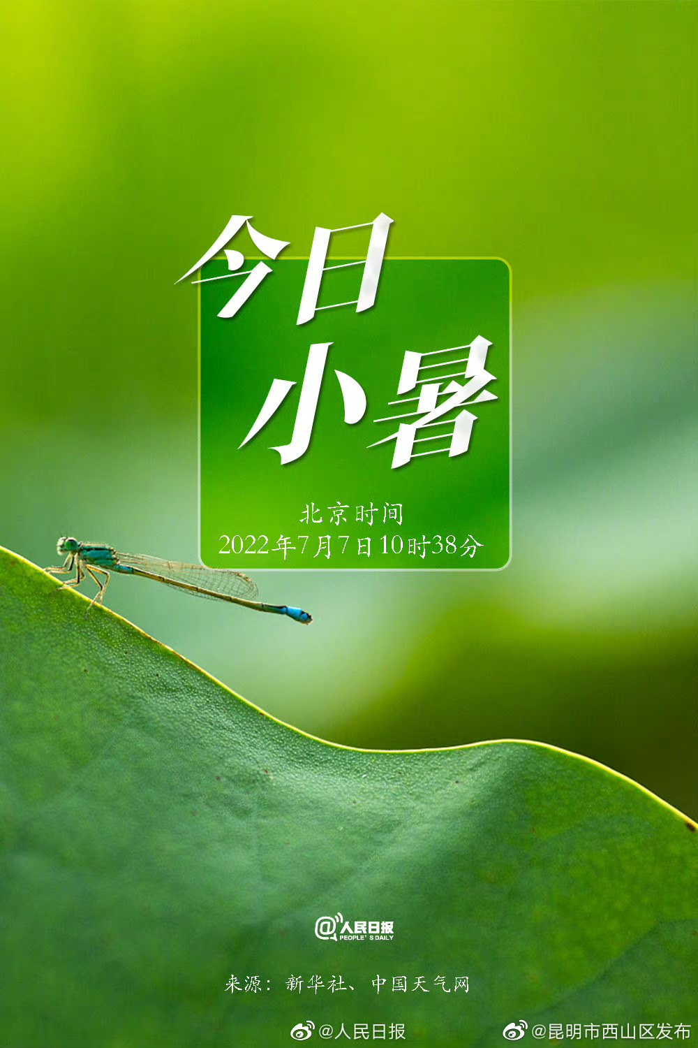 昆明市西山区发布