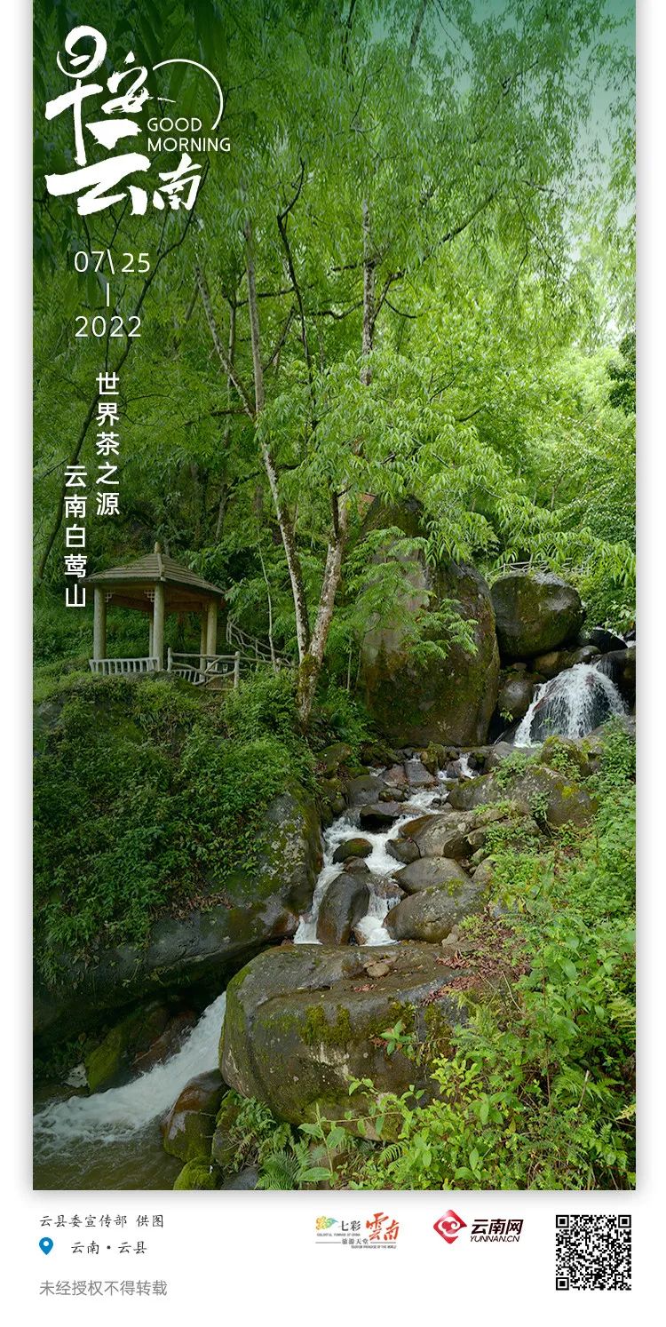 云南省人民政府网