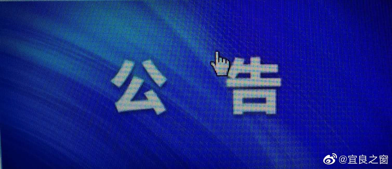 公开选聘园长