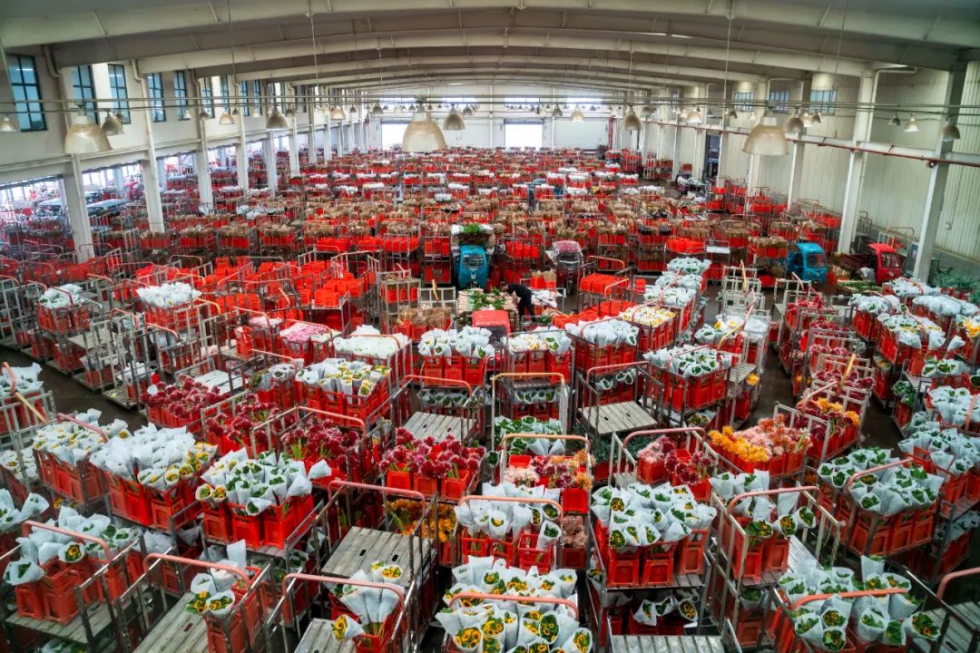 云南省文化和旅游厅