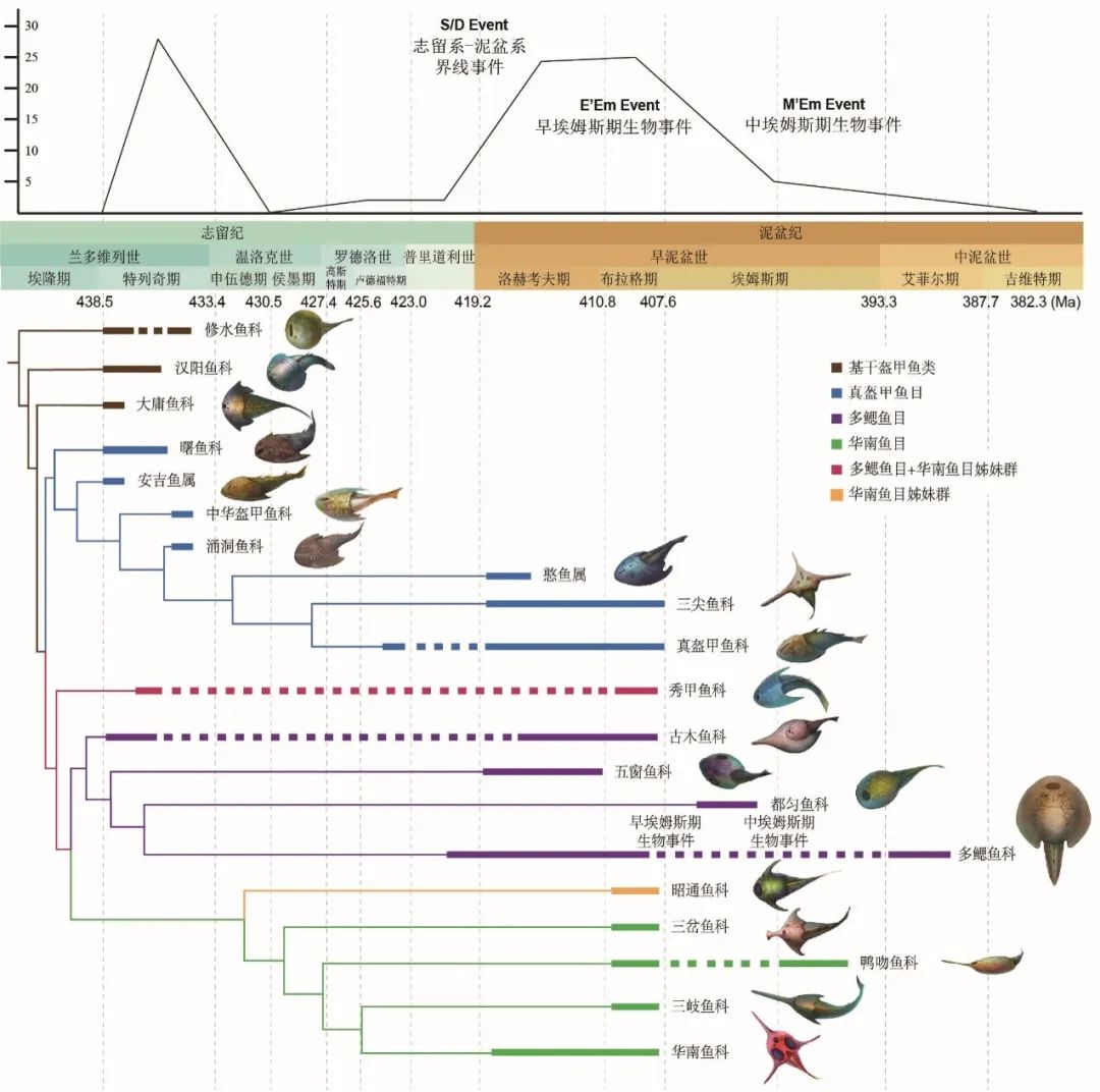 美丽云南微科普