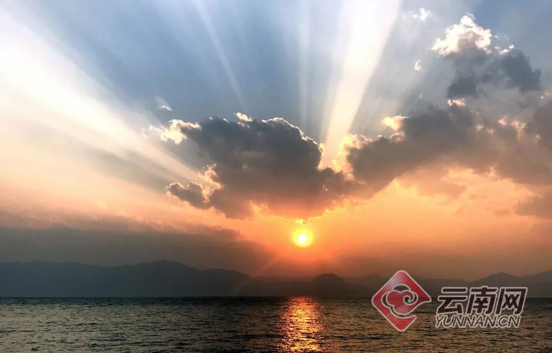 美丽云南微科普